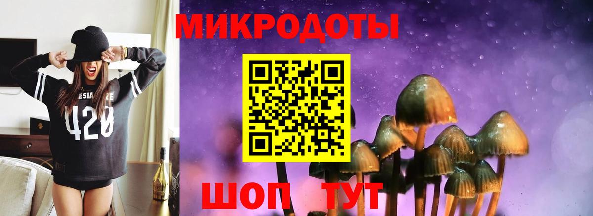 Тихвин  Псилоцибиновые грибы Cubensis  Вход с VPN  Галлюциногенные грибы Cubensis 